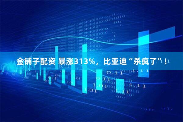 金铺子配资 暴涨313%，比亚迪“杀疯了”！