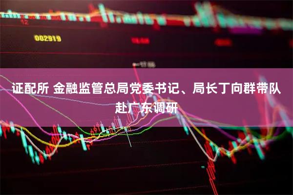 证配所 金融监管总局党委书记、局长丁向群带队赴广东调研